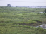 811R0015375.jpg