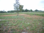 33409RIMG0149.JPG