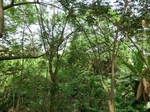 50881CIMG0581.JPG
