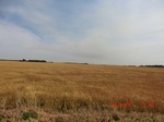 29718CIMG1033.JPG