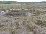 24997DSC00064.JPG