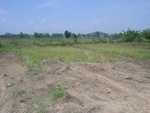 28265RIMG0265.JPG