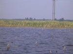 699R0015207.jpg