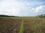 14180IMG_4517.JPG
