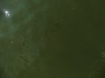 58188CIMG2635.JPG