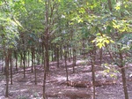17507100_2762.JPG