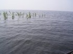 1493R0015196_small.jpg