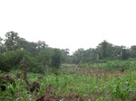 45332CIMG2417.JPG