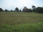 34387IMG_5301.JPG