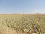 35039DSC01941.JPG
