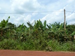 19763P1010612.JPG