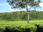 13628IMG_3888.JPG