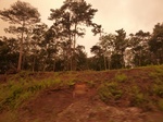 54855Berau (143).JPG