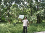 7715gt0122a-forests-young-secondary-forest-dominated-by-shrubs.jpg