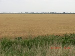 29461CIMG0752.JPG