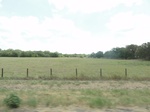 35743DSC02247.JPG