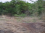 1762922042008(109).JPG