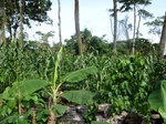 20114P1010965.JPG