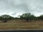 35837DSC02604.JPG