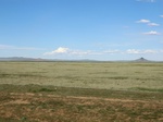 37959CIMG1767.JPG