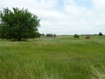 54279P1090065.JPG