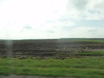 24896DSC01113.JPG