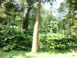 31154CIMG1016.JPG