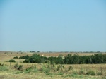 55379CIMG1967.JPG