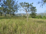 5417990.jpg