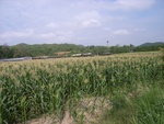 28048RIMG0101.JPG