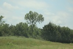 2024-06-17_22-05-05_557B47AF-E461-48FB-99E3-6083D699D631.jpeg