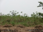50553CIMG1182.JPG