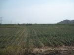 27845IMG_4796.JPG