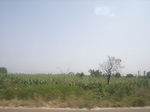 9065RIMG0145.JPG