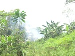 49456CIMG5793.JPG