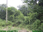 852R0015388_tag.jpg