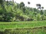 13798IMG_4061.JPG