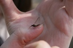 328IMG_3437.JPG