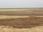 39103CIMG4806.gps.jpg