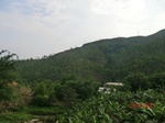 53455CIMG6788.JPG