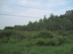 34463IMG_5446.JPG