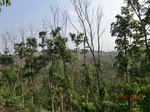 53480CIMG6817.JPG