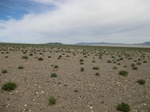 37093CIMG0890.JPG