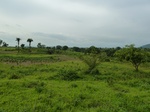 18665P1000503.JPG