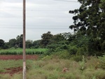 55959CIMG6691.JPG