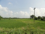 24599DSC00817.JPG