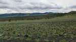 34146CIMG2357.JPG