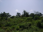 8950RIMG0024.JPG