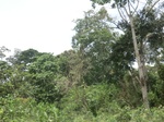 49403CIMG5740.JPG