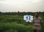 12479012c-irrigated-canal-cotton-farmfallow-chilli-rice.gif